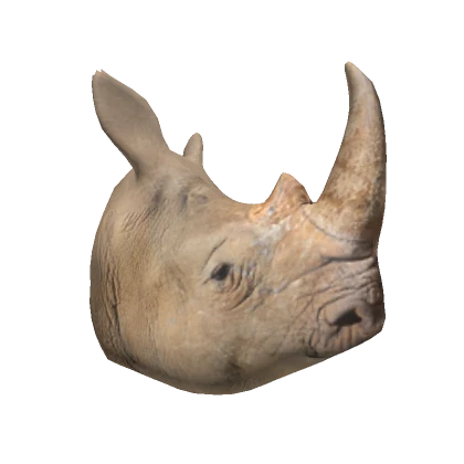 Realistic Rhino Head 🦏