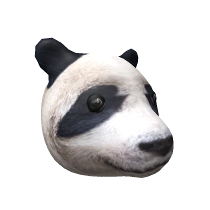 Realistic Panda🐼