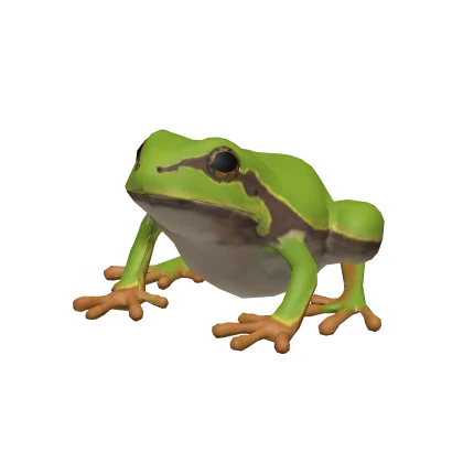 Frog