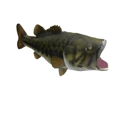 Monsterous : Bass Fish (LIMITED)