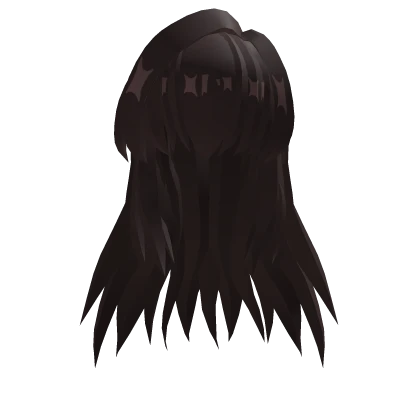 Dark Brown Long Hair