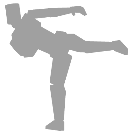 Taekwondo Combo 