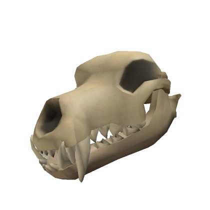 Pale Wolf Skull