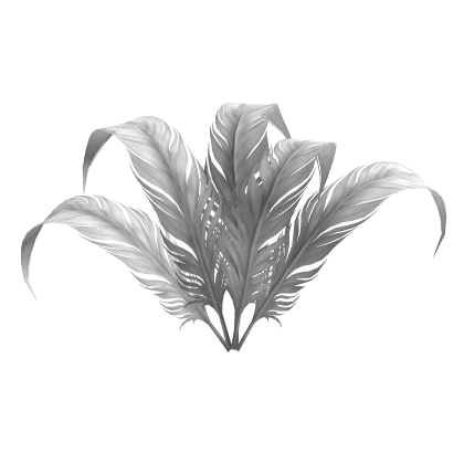 5 White Decorative Feathers