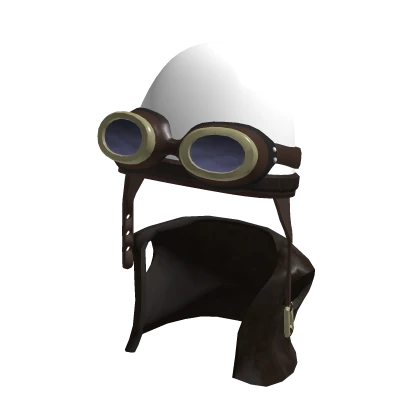 Insane Frog's Helmet and Vest