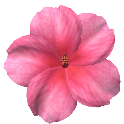Pretty Summer Hibiscus Flower In Pastel Pink