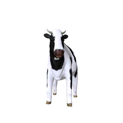 Mini Cow