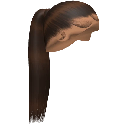 Slicked Back Ponytail [Brown]