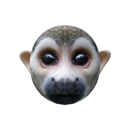 Realistic Squirrel Monkey🐒