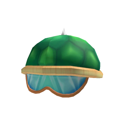 Turtle Helmet