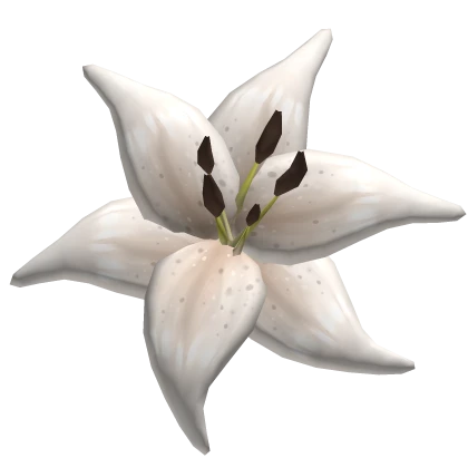 ♡ tropical summer beach lily flower in white