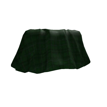 Dark Green Plaid Skirt