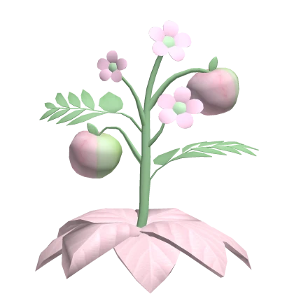 Pink green floral igari apple leaf on head sprout