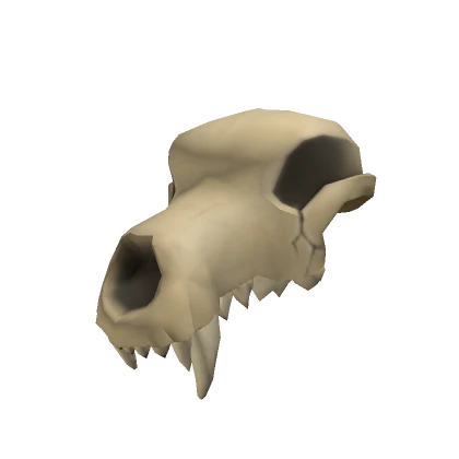 Pale Chipped Wolf Skull