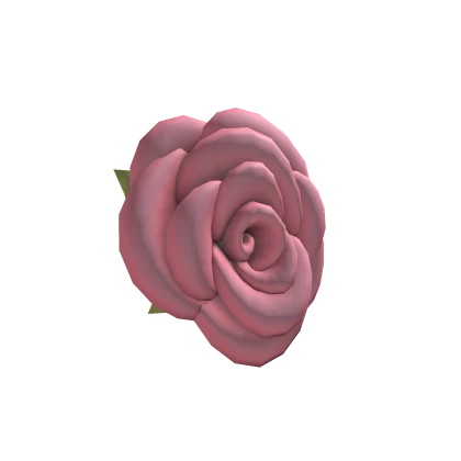 Popular Pink Rose🌹 WICKED