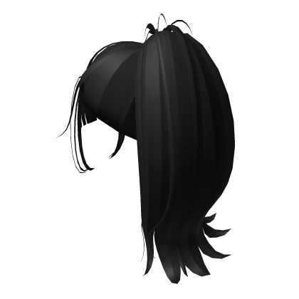 Black Ponytail w/ Curtain Bangs