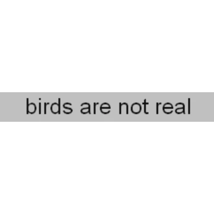 birds are not real