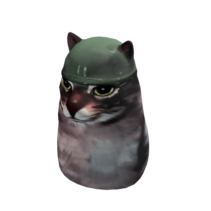 Cat with a Dark Helmet Suit