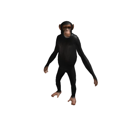 Epic Monkey