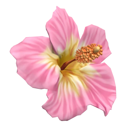 Summer Pink Tropical Hibiscus Flower