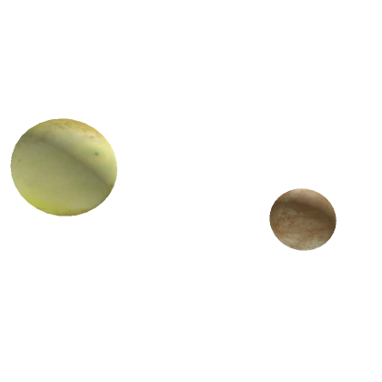 Io & Europa