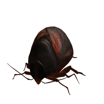 BIG Roach