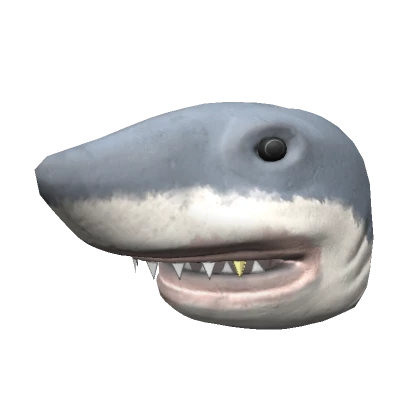 Realistic Drip Shark