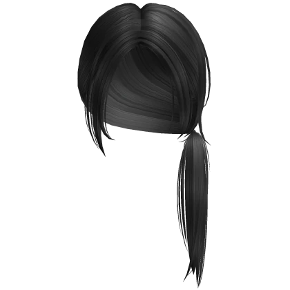 Messy Low Ponytail in Black