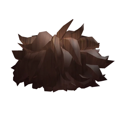 Brown Messy Curly Hair