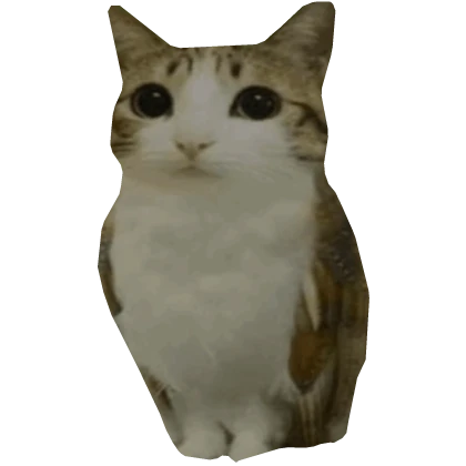 Owl Cat Shoulder Pal