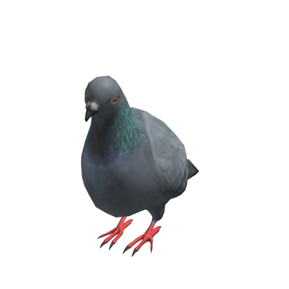 Mini Pigeon Suit 