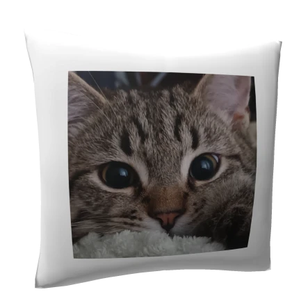 CODE: myppp | Pillow With Cute Kitten