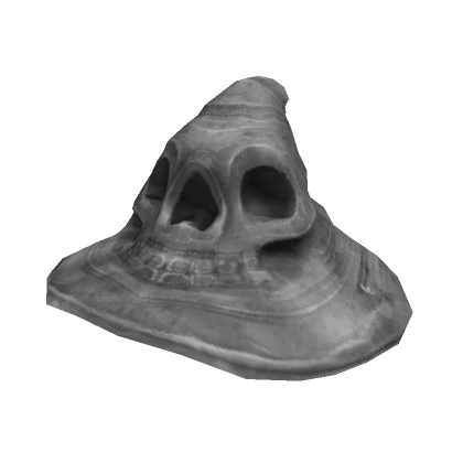 Skull Wizard Hat