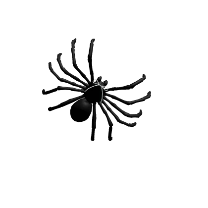 spider bow black white