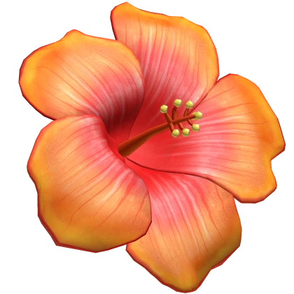 tropical summer orange hibiscus flower