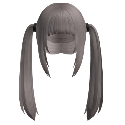 Neat Ponytails in Ash