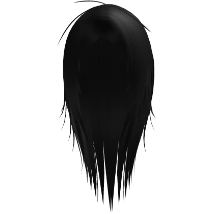 Black Straight Long Layered Hair