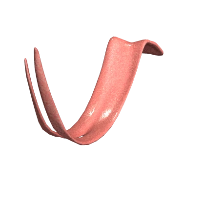 Snake Tongue