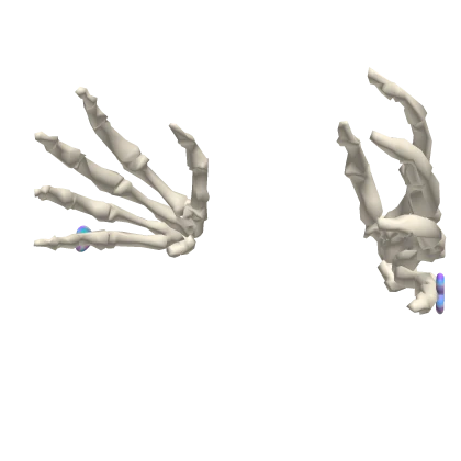 Skeleton Hands