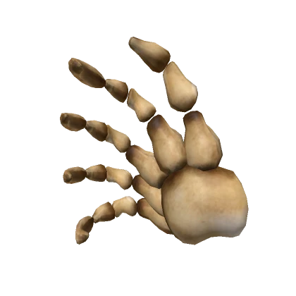 Big Skeleton Hand