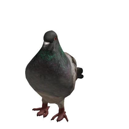 Realistic Pigeon Costume