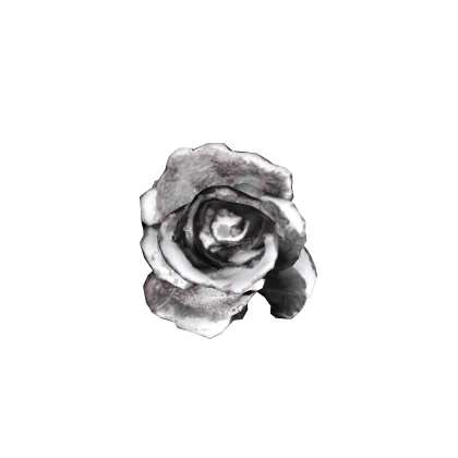 雪玫瑰 black gothic snowy rose hair piece ♡