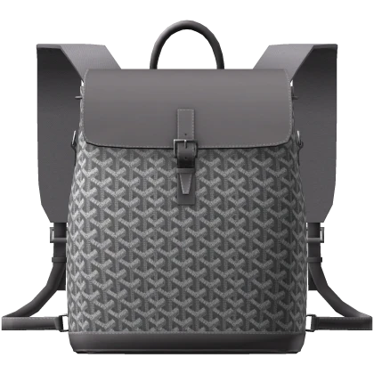 (1.0) Goyard Alpin MM Backpack