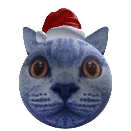 New Year's Blue Berry Cat