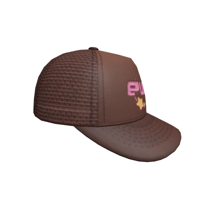 SIDEWAYS EV!L TRUCKER CAP -- BROWN / PINK