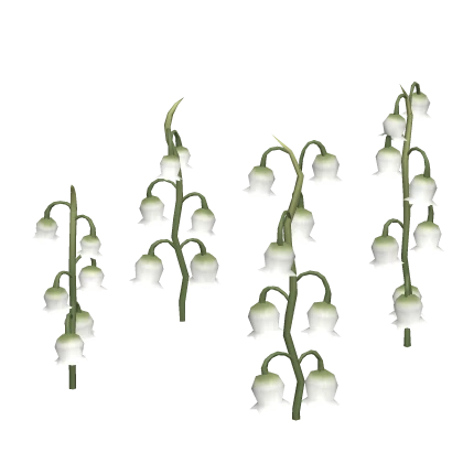  igari lily of the valley flower patch