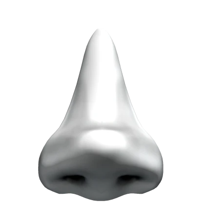 nose