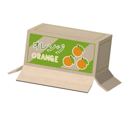 🍊 Cute twee igari orange cardboard box garden