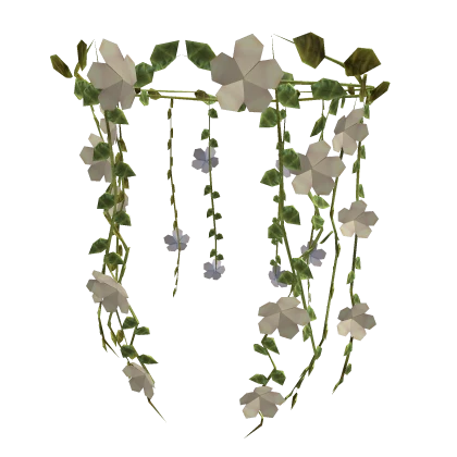 White Falling Blooming Flowers Of A Druid