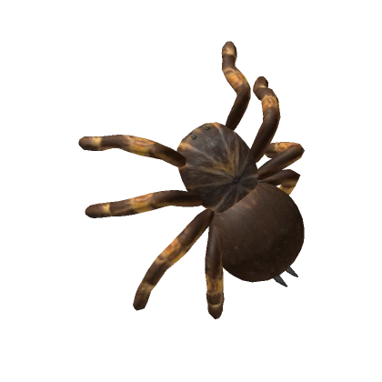 Tarantula (Face)